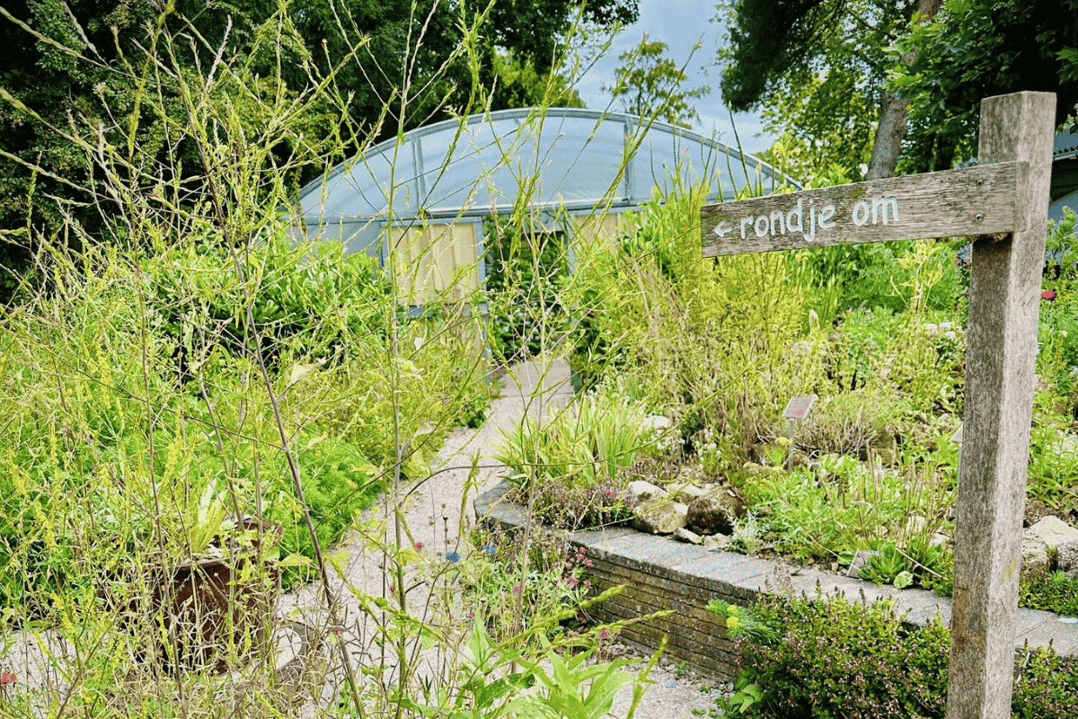 Tuin van de ondernemerstuin